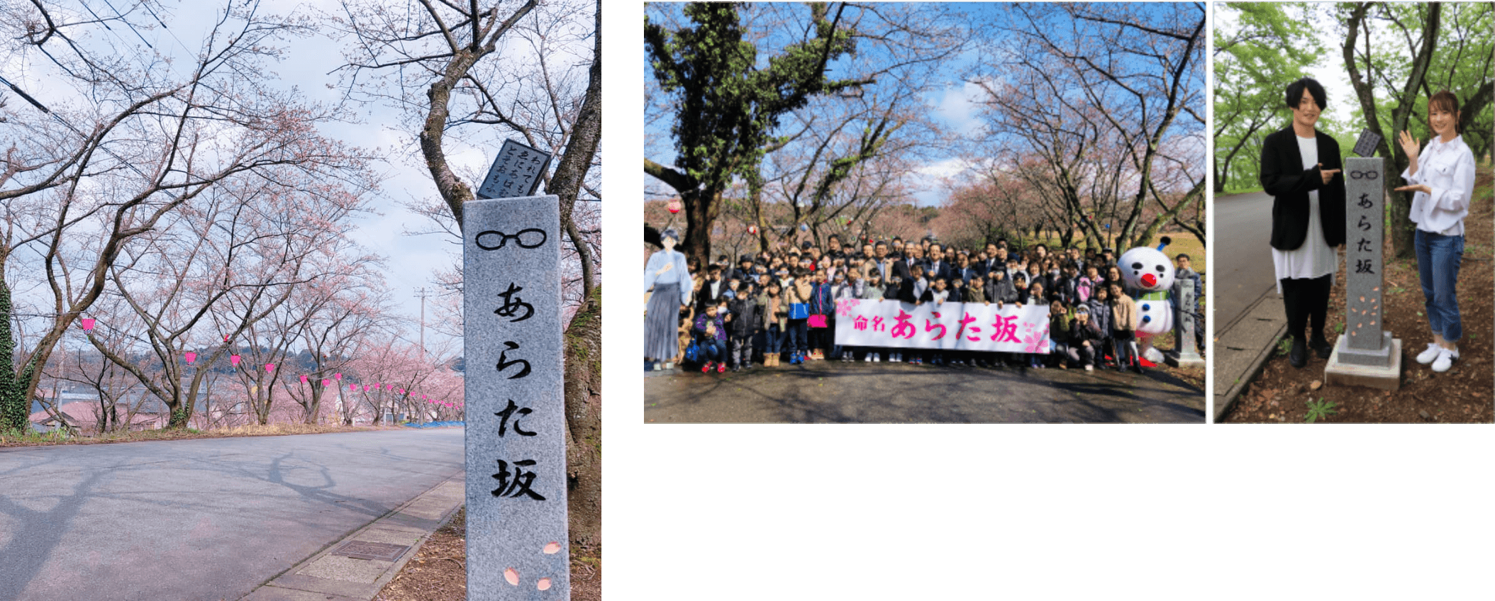 作中に登場する桜並木を「あらた坂」と命名